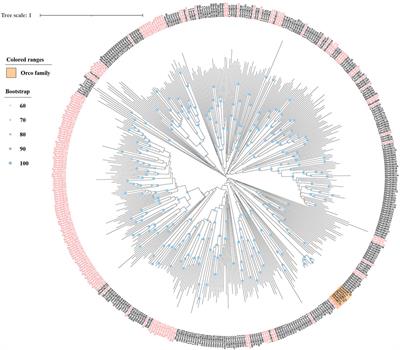 Genome-wide identification of candidate chemosensory receptors in the bean bug Riptortus pedestris (Hemiptera: Alydidae) and the functional verification of its odorant receptor co-receptor (Orco) in recognizing aggregation pheromone